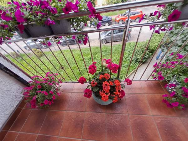 Pokoje gościnne Neptun