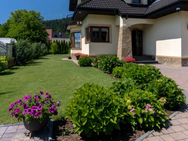 Hortensja Pokoje Gościnne