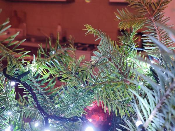 Nocleg U Agi - Dom całoroczny