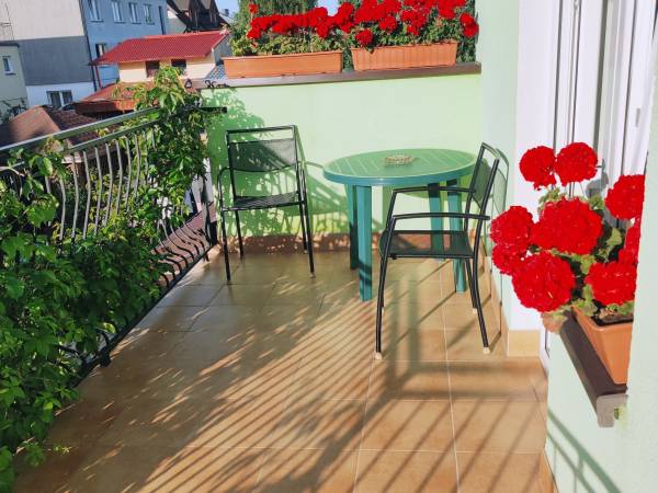 Pokoje Gościnne Żabka