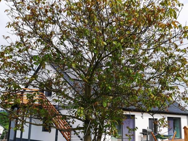 Obrocz67- Nowoczesny Dom 160m, balia, plac zabaw, altana, Roztocze