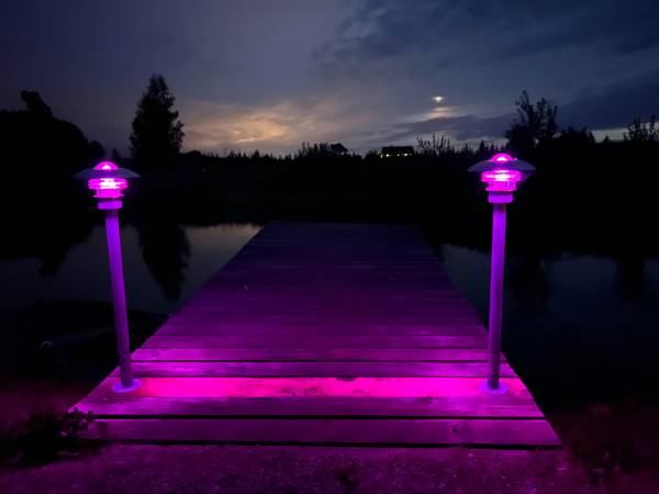 TIPI domek letniskowy na wynajem