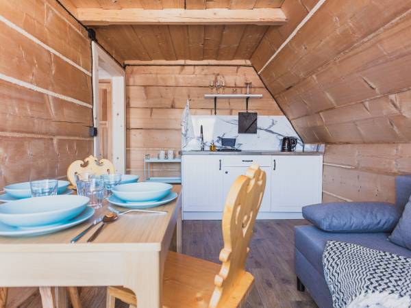 Aneks kuchenny w apartamencie Kogutek