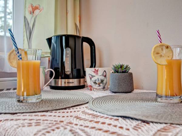 Dom Wypoczynkowy Orełki Orłowscy