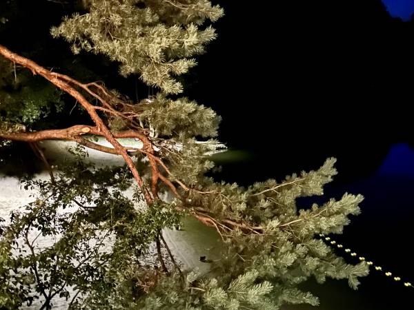 Wpadnij do lasu , domki nad jeziorem 