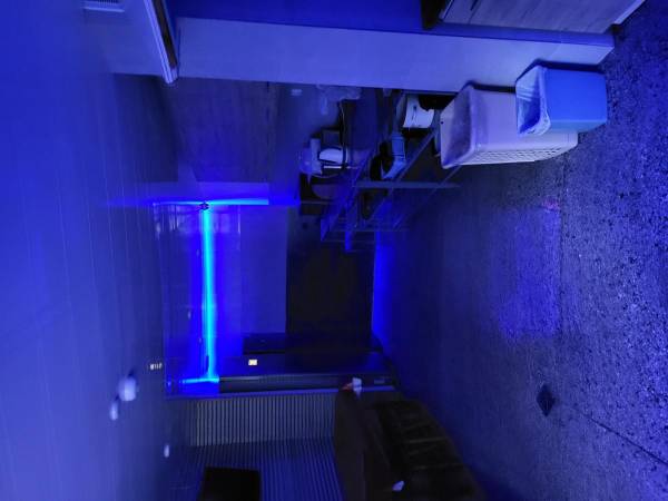 Motelik Pod Kukułką