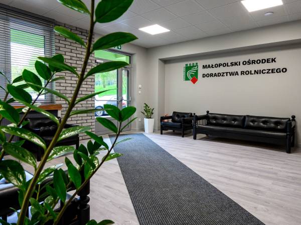 POKOJE GOŚCINNE MODR