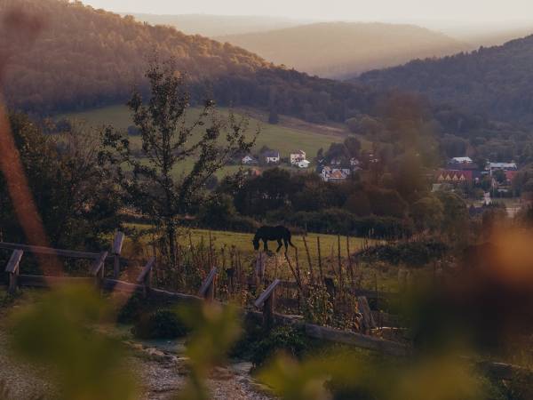 Całoroczny Domek z widokiem na jezioro
