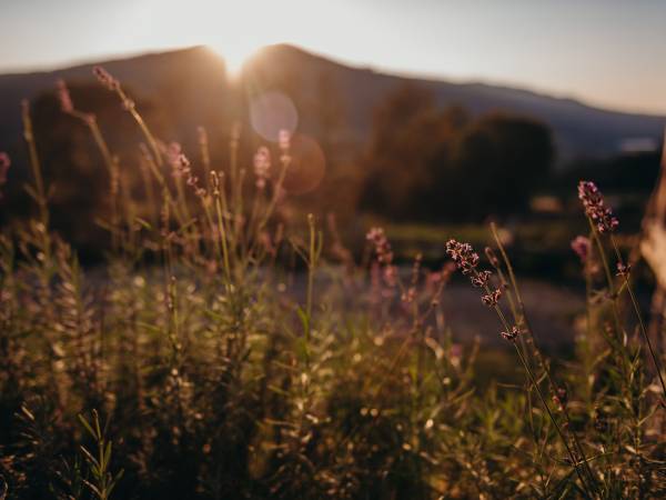 Całoroczny Domek z widokiem na jezioro