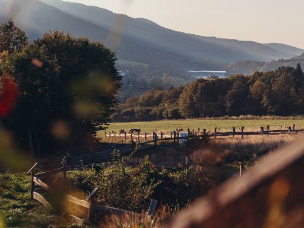 Całoroczny Domek z widokiem na jezioro