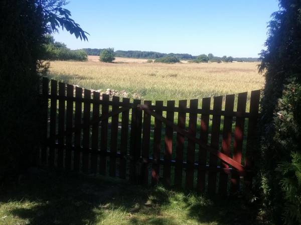 Widok na pola z tylu posesji ,spacery z pupilem