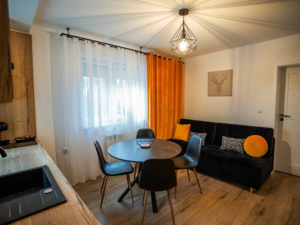 Apartament nr 2 