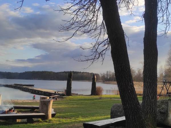 Jesion i miejsce na ognisko