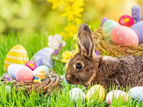 Domy Wczasowe U Wdowca