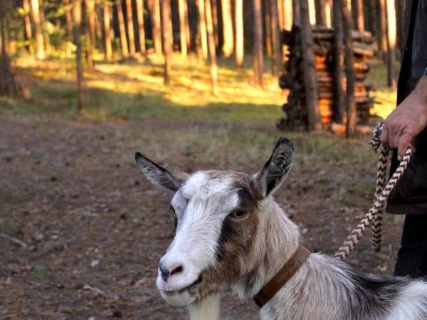 Gospodarstwo Agroturystyczne Marka