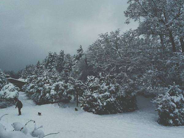 Gospodarstwo Agroturystyczne Marka