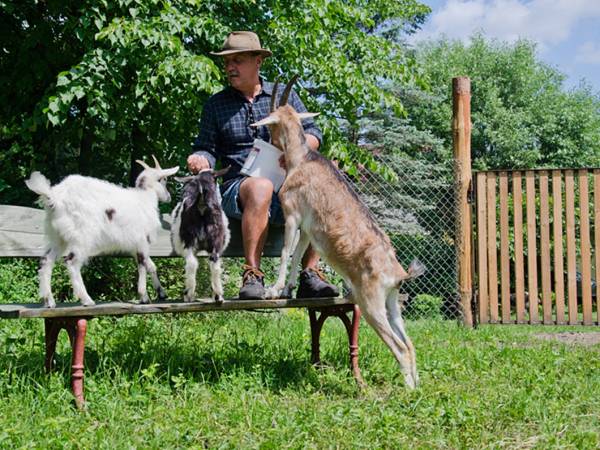 Gospodarstwo Agroturystyczne Marka