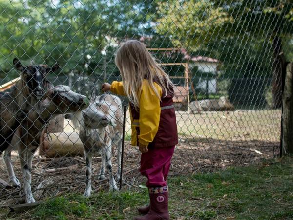 Gospodarstwo Agroturystyczne Marka