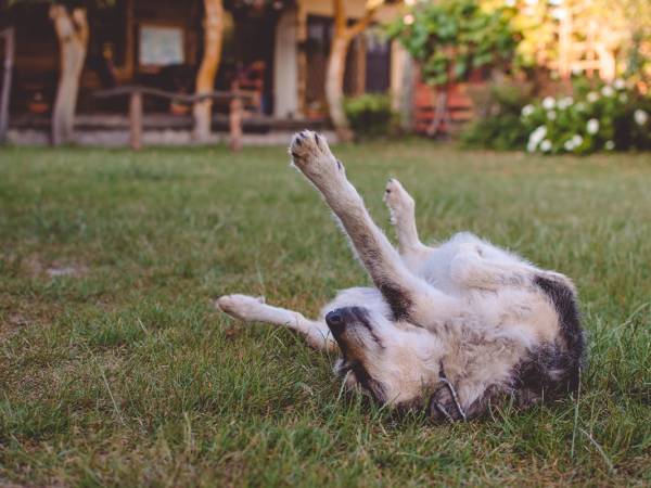 Gospodarstwo Agroturystyczne Marka