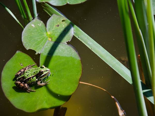 Gospodarstwo Agroturystyczne Marka