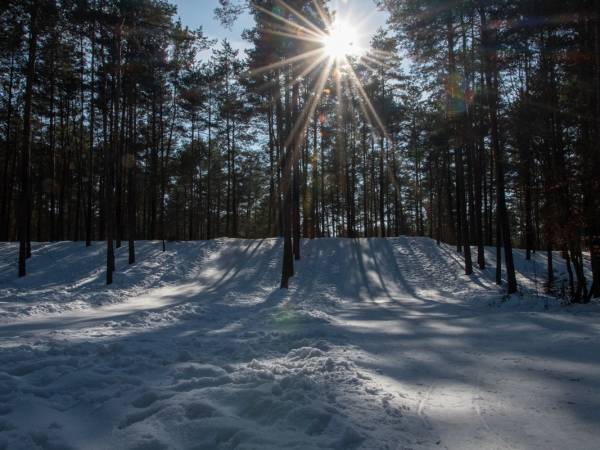 Gospodarstwo Agroturystyczne Marka