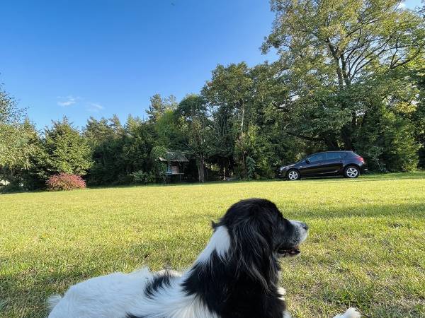 Gospodarstwo Agroturystyczne Marka