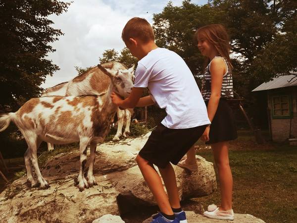 Gospodarstwo Agroturystyczne Marka