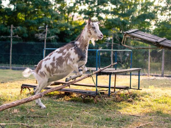 Gospodarstwo Agroturystyczne Marka
