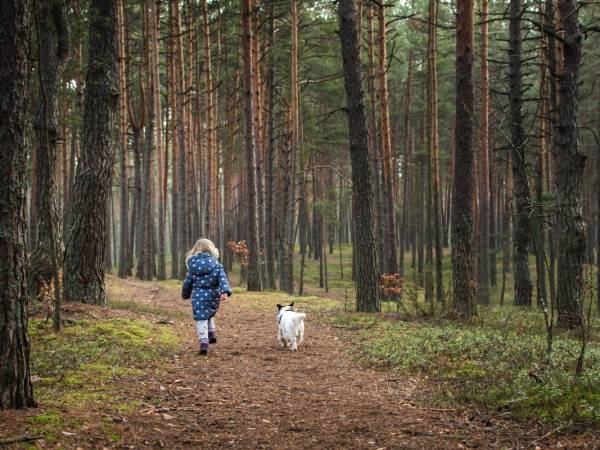 Gospodarstwo Agroturystyczne Marka