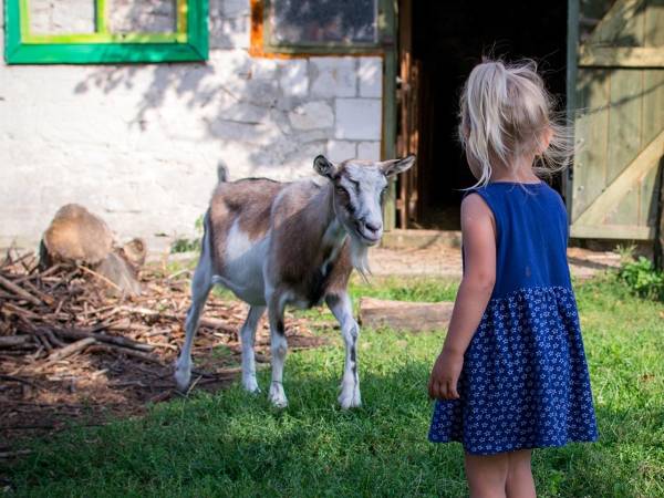 Gospodarstwo Agroturystyczne Marka