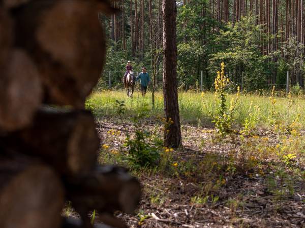 Gospodarstwo Agroturystyczne Marka