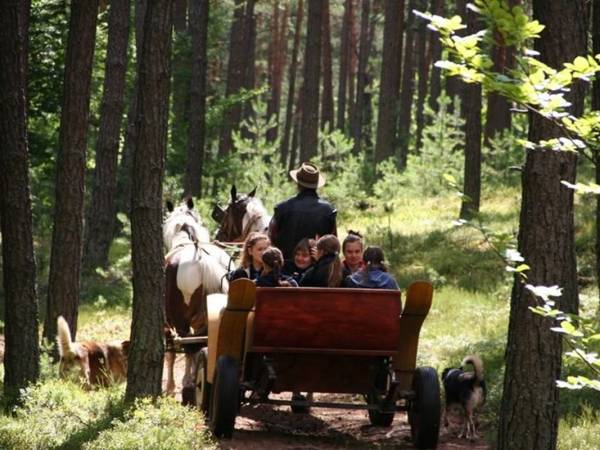 Gospodarstwo Agroturystyczne Marka