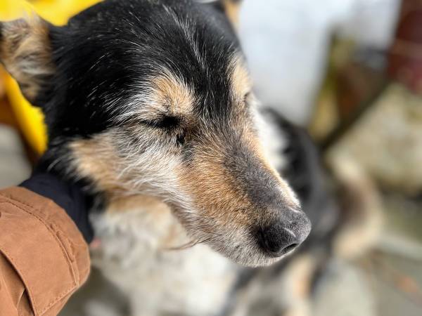 Gospodarstwo Agroturystyczne Marka