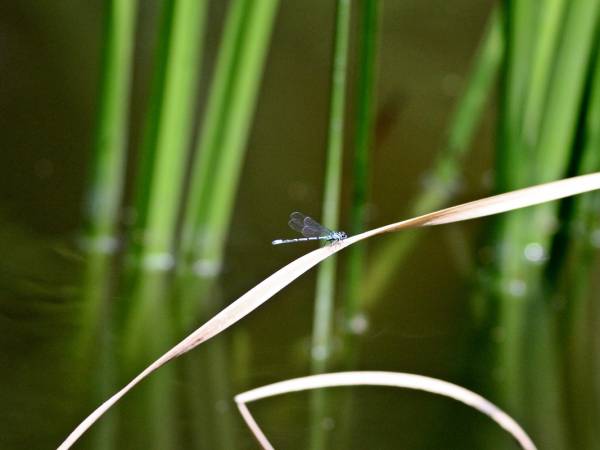 Gospodarstwo Agroturystyczne Marka