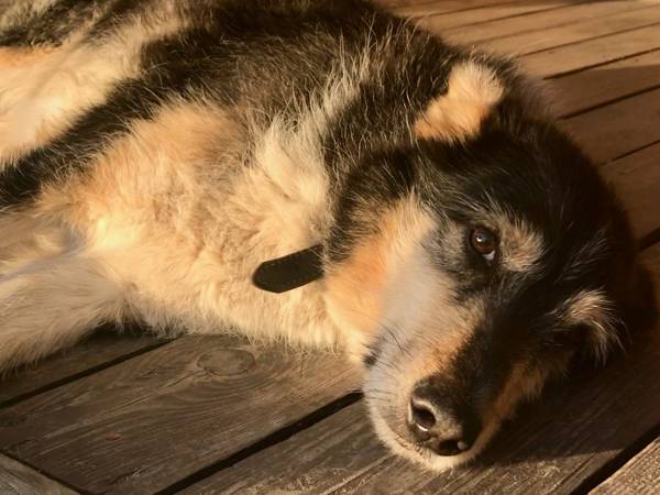 Gospodarstwo Agroturystyczne Marka