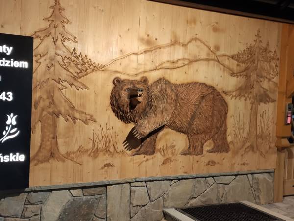 Apartamenty Pod Niedźwiedziem Centrum