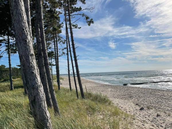 Złoty Brzeg Wicie Domki Letniskowe