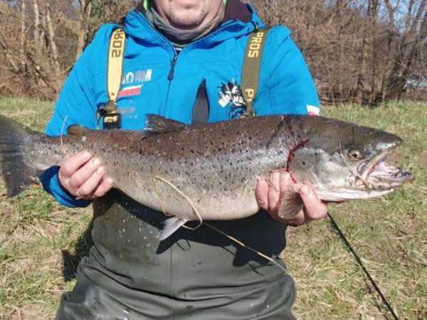 Pensjonat Słoneczny