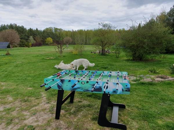 EKOTURYSTYKA NAD SZMARAGDOWĄ ZATOKĄ