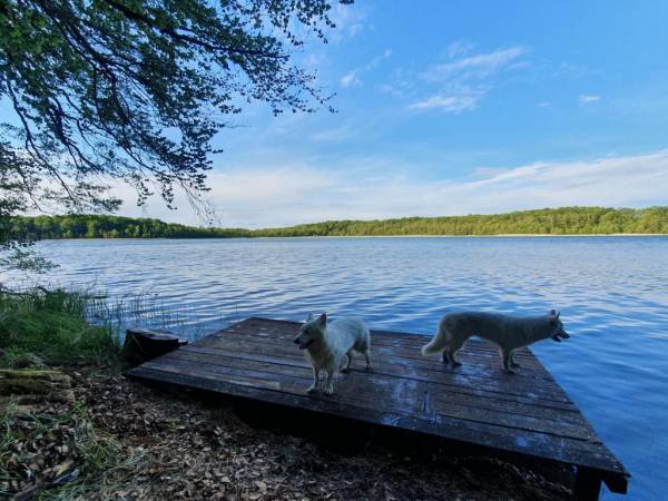EKOTURYSTYKA NAD SZMARAGDOWĄ ZATOKĄ