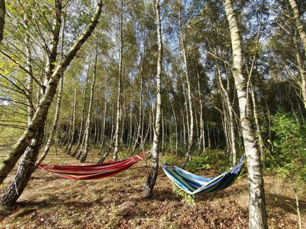 EKOTURYSTYKA NAD SZMARAGDOWĄ ZATOKĄ