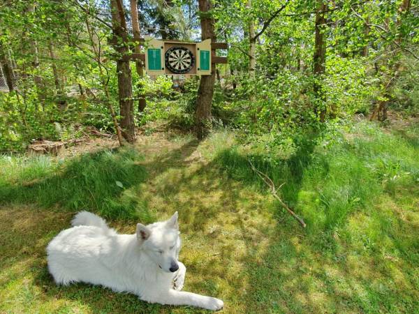EKOTURYSTYKA NAD SZMARAGDOWĄ ZATOKĄ