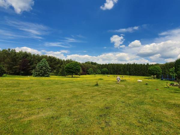 EKOTURYSTYKA NAD SZMARAGDOWĄ ZATOKĄ