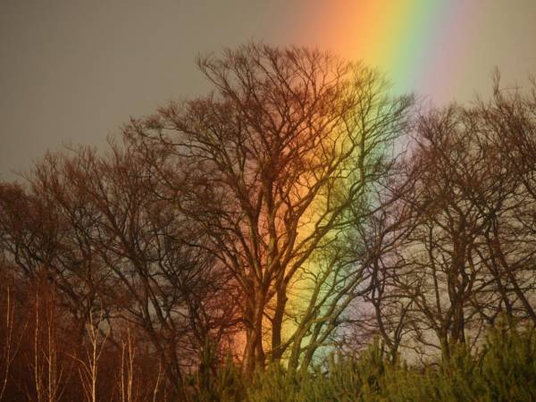 EKOTURYSTYKA NAD SZMARAGDOWĄ ZATOKĄ