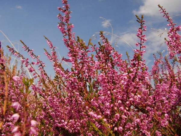 EKOTURYSTYKA NAD SZMARAGDOWĄ ZATOKĄ
