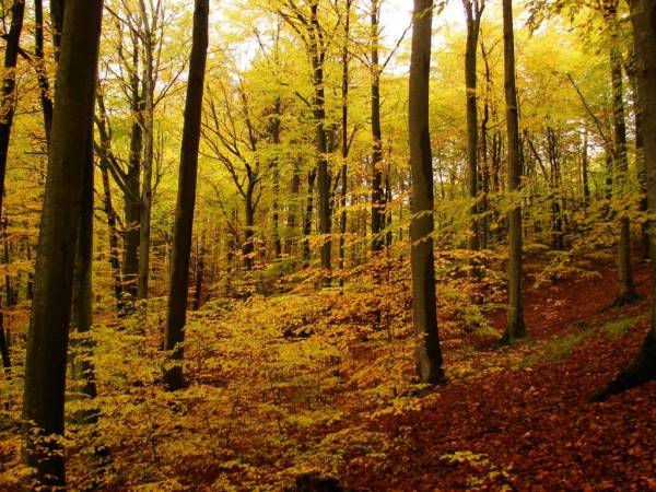 EKOTURYSTYKA NAD SZMARAGDOWĄ ZATOKĄ