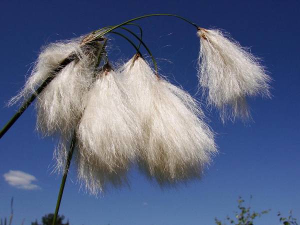 EKOTURYSTYKA NAD SZMARAGDOWĄ ZATOKĄ