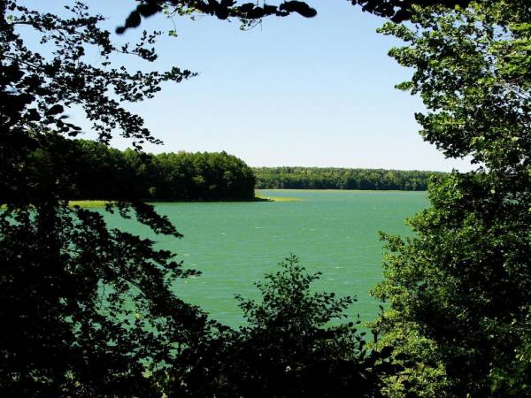 EKOTURYSTYKA NAD SZMARAGDOWĄ ZATOKĄ