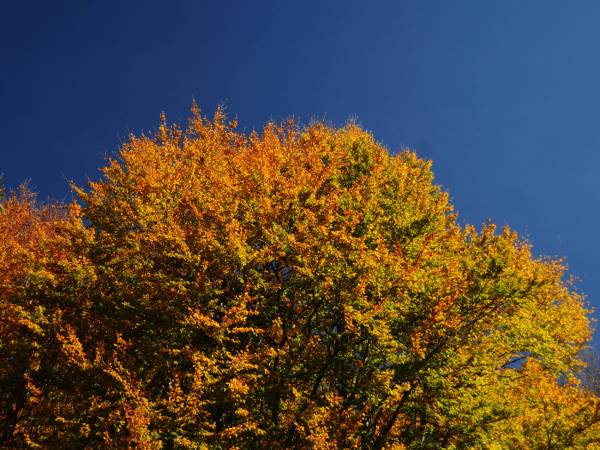 EKOTURYSTYKA NAD SZMARAGDOWĄ ZATOKĄ