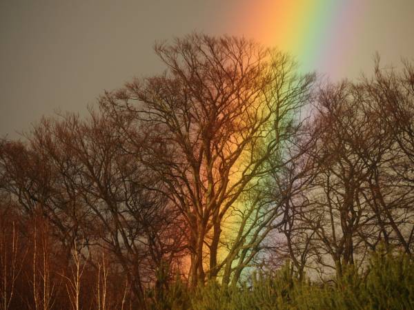 EKOTURYSTYKA NAD SZMARAGDOWĄ ZATOKĄ